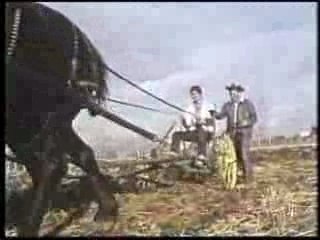 Hello Calgary (Female Vocal)