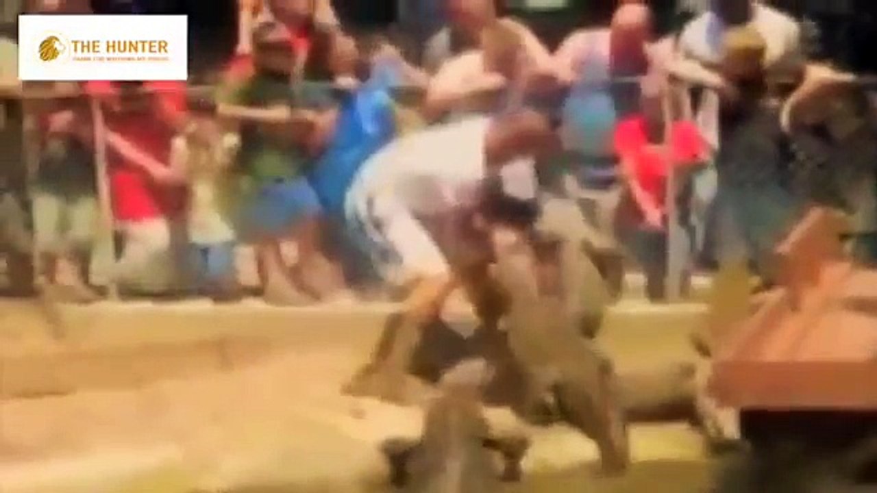 Biggest wild animal fights : Most Amazing Wild Animal Attacks  : Most Wild Deadly Animal Attacks 16