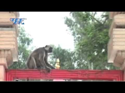 Bhabhi Sange Thave Jaib - Mai Ke Darbar Me Jhumli - Amit Akela - Bhojpuri Devi Geet Bhajan 2015