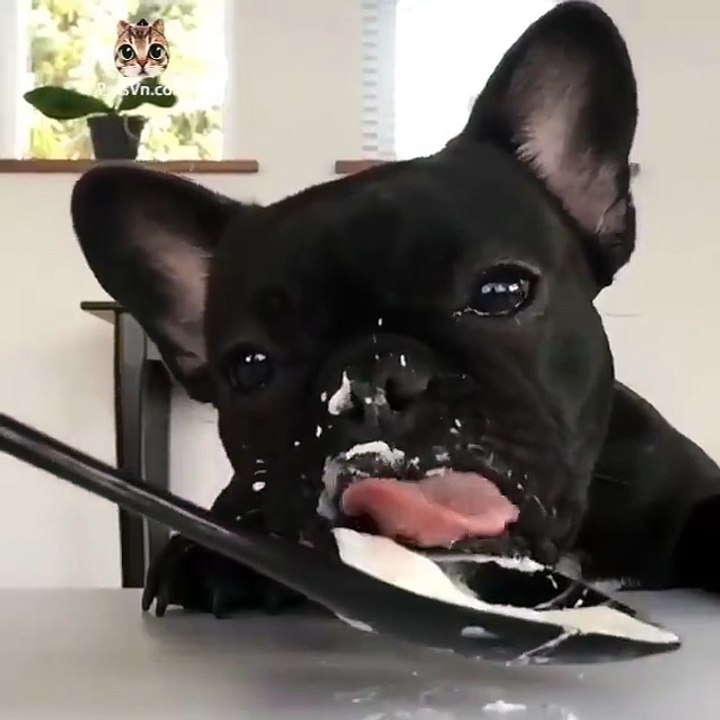 Slow motion : eating.