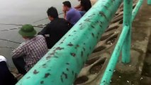 Fishing - Want to catch tilapia but the snakehead fishing (câu rô Phi được cá chuoi) -HD Video