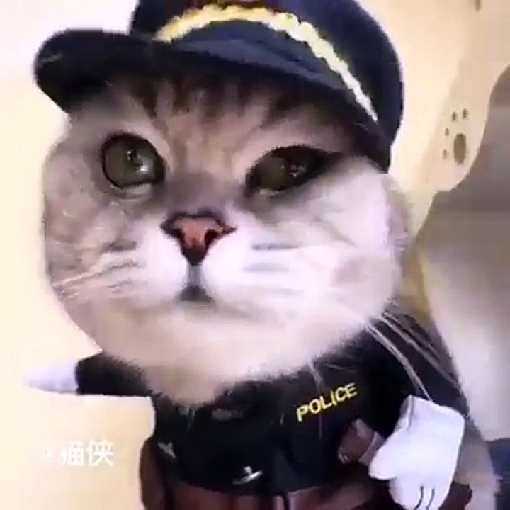 A Police.