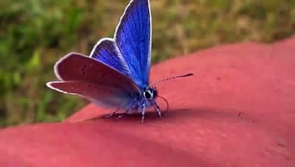 ~ Morning Gratitude Prayer~ Its Time