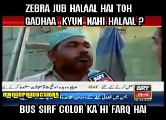 If Zebra is “Halaal” then Why not Donkey - Hilarious Reply Of A Guy To Iqrar « News « Pakistan talk shows