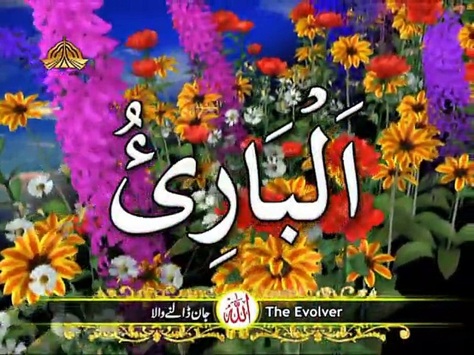 ALLAH NAMES(ASMA UL HUSNA)