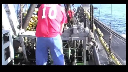 Menjaring ikan di laut sekali tangkap dapat se mobil kontener~Luar biasa 33