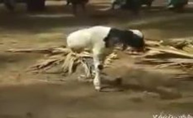 Merical Of Allah -Allah Ka Mojza-Funny Whatsapp Video | WhatsApp Video Funny | Funny Fails | Viral Video