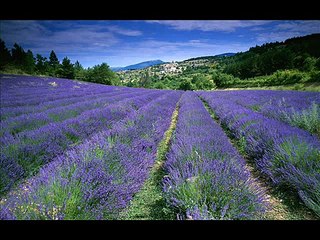 The Demigod Diaries [Part 9 of 29] - Percy Jackson & The Staff of Hermes [Part 1/6]