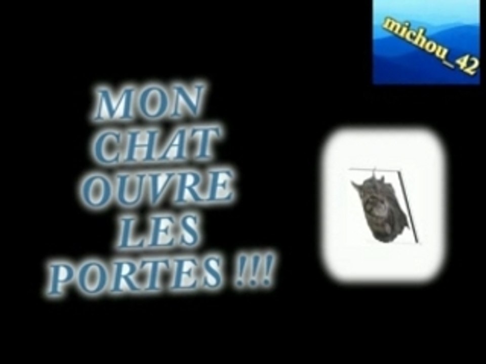 un chat qui ouvre les portes