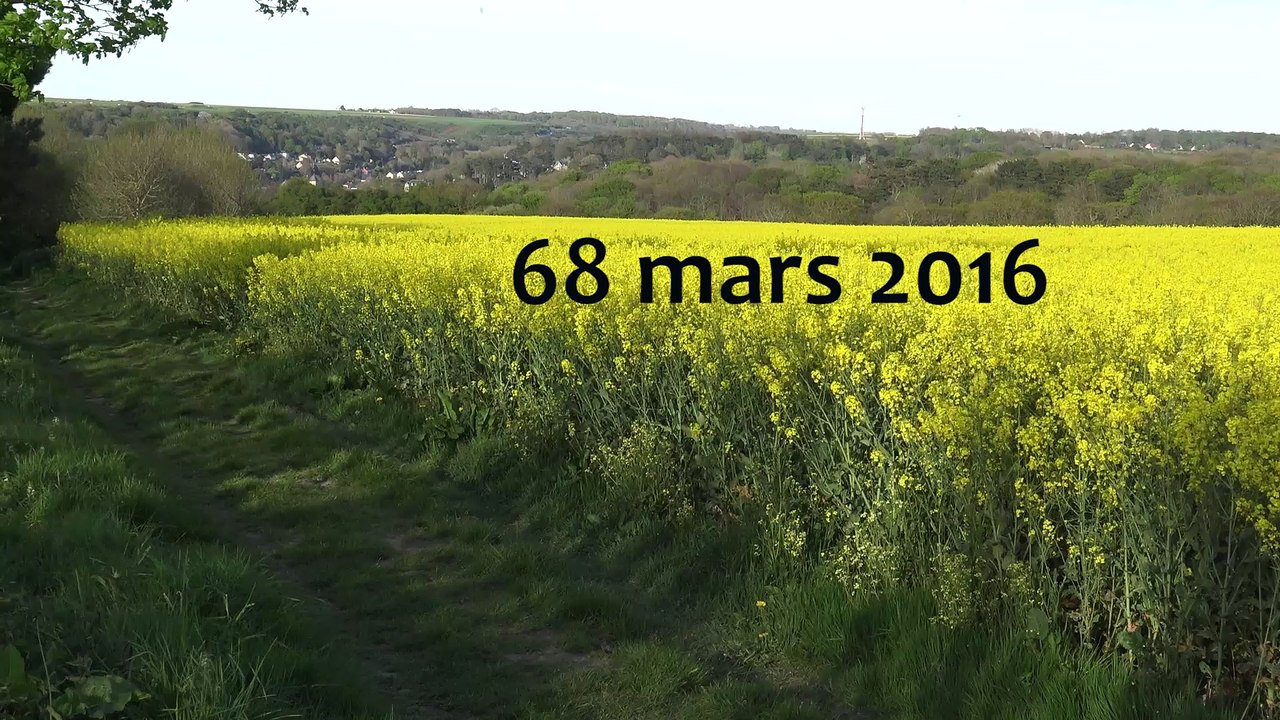 VIDEO-POEME "66 MARS 2016"