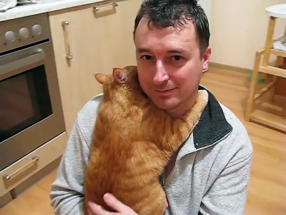 Voici le chat le plus heureux au monde.