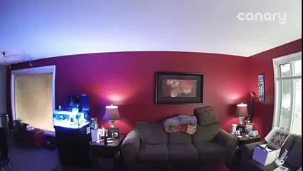 Sur son smartphone, il voit sa maison brûler à Fort McMurray