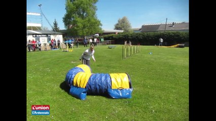 Concours d'agility à Laon