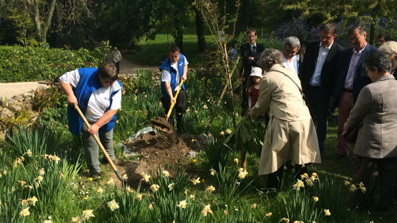Inauguration de Presqu'île en Fleurs édition 2016