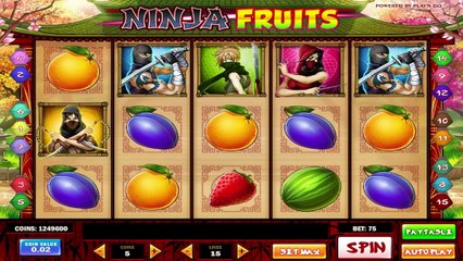 Ninja Fruits ilmainen kasino kolikkopeli Play n Go Video Esikatselu