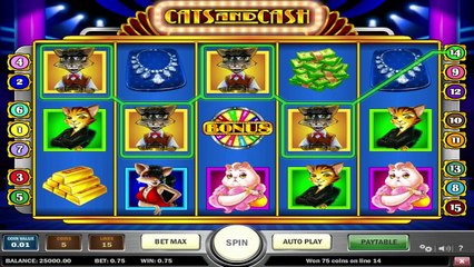 Cats and Cash ilmainen kasino kolikkopeli Play n Go Video Esikatselu
