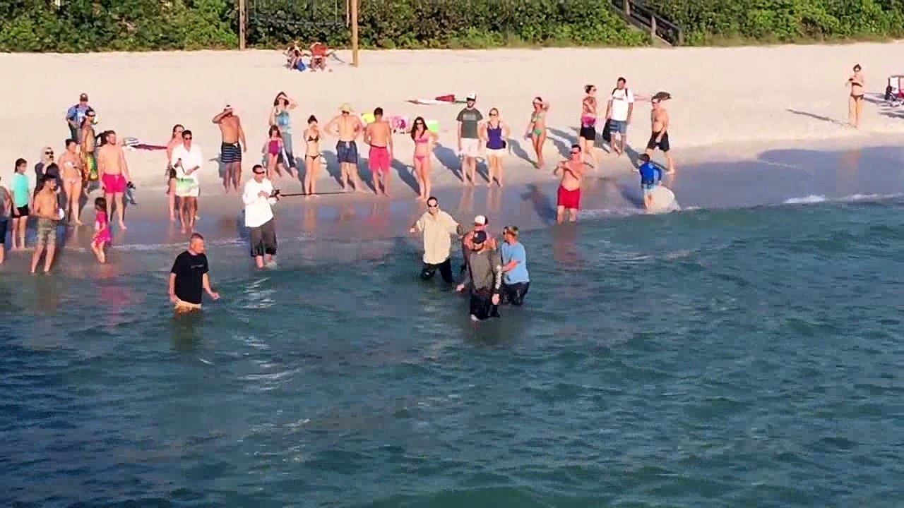 Lucky fisherman caught the bait of a huge fish-saw