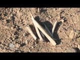 I dërguari i OKB:Në Irak,mbi 50 varre masive me viktimat e ISIS - Top Channel Albania - News - Lajme