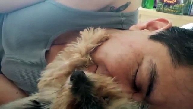 Il CANE che fa le carezze al suo PADRONE...Dolcissimi...