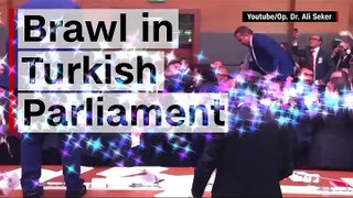 তুরস্কের পার্লামেন্টে মারামারি/Turkeys parliamentary hassle