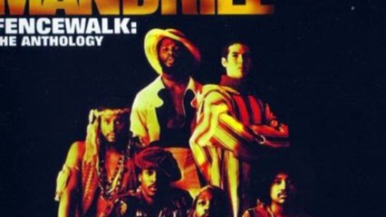 Mandrill - fencewalk Live Montreux HD720 m2 Basscover3 Bob Roha