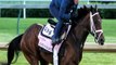 Kentucky Derby notes - With Songbird out, Rachel's Valentina is favored in Kentucky Oaks