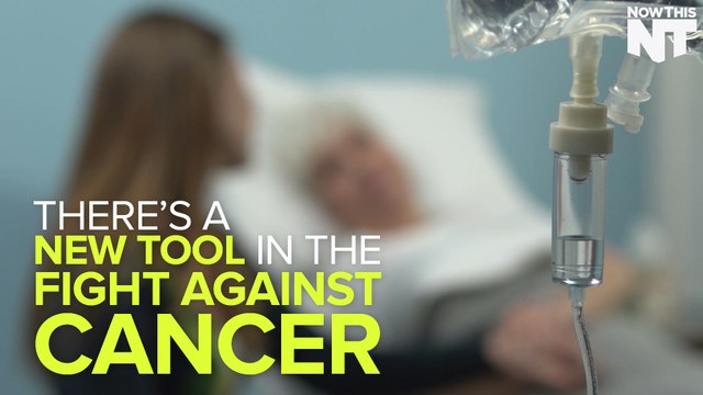 Duke Researchers Create Antibodies To Attack Cancer Cells