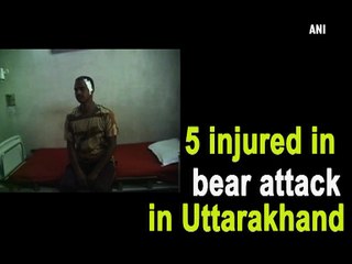 5 injured in bear attack in Uttarakhand