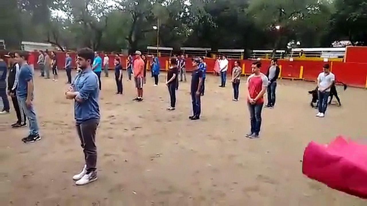 Un taureau lâché dans une arène avec pleins d’étudiants à l’intérieur, regardez le résultat !