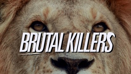 Мир Природы. Самые Жестокие Убийцы