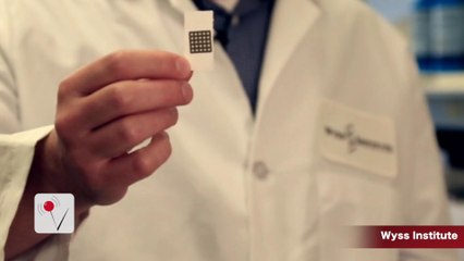 Harvard Researchers Create Paper-Based Zika Test