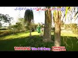 Pashto New Film 2016 Nawe Da Yawe Shpe Hits Song - Da Gulabe Shundo Janana