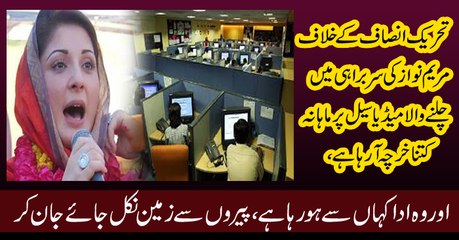 Maryam Nawaz Media Cell Spending 35 Crores Per Month, Investigations Started