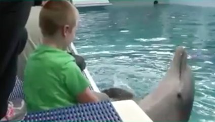 Boy with prosthetic meets dolphin with prosthetic tail