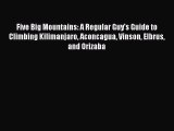 [Read Book] Five Big Mountains: A Regular Guy's Guide to Climbing Kilimanjaro Aconcagua Vinson