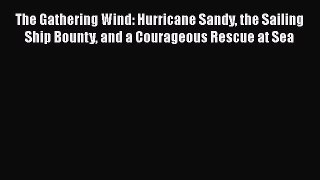 [Read Book] The Gathering Wind: Hurricane Sandy the Sailing Ship Bounty and a Courageous Rescue