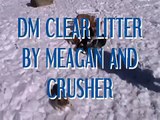 DM CLEAR Litter by Meagan and Crusher