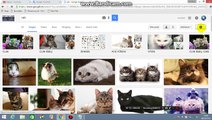 How to find Animated Photos (Pictures) on Google Images
