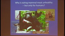 Why mammal meat is bad for humans (and only humans) | John Pepper | ISEMPH