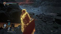 Rage souls 3 Time !!! Quest for new boss ? (54)
