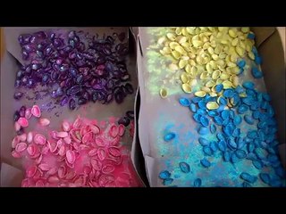 Mette Le Bucce dei Pistacchi In Un Sacchetto Per Congelare. Quello Che Viene Fuori Vale Oro