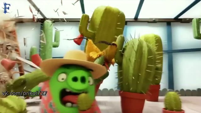 Best COUB. Подборка недели #66.1