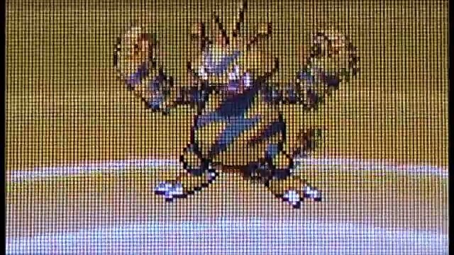 SHINY ELEKID EVOLVES INTO SHINY ELECTABUZZ!! Pokemon White 2