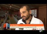 Noticias Destacadas: Cruces con raza Boer [2013 11 07] UPV