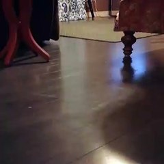 Random (604)