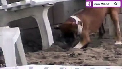 Random Number Generator (667)