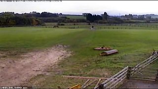 CCTV of Police Horse Fimber Police Appeal to Trace Owners of Quadcopter