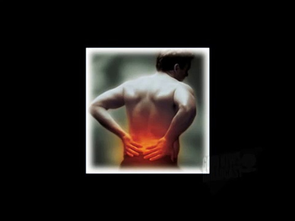 Dr. Sarno and his Work