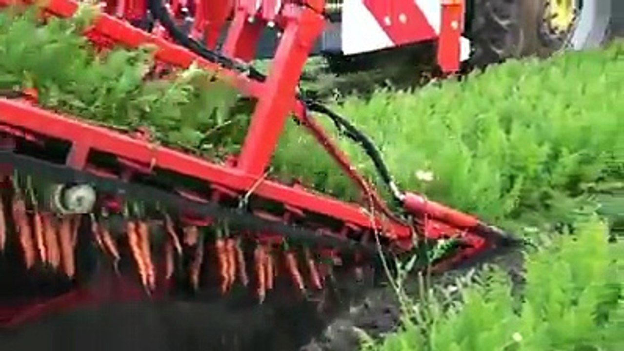 most satisfying video in the world
