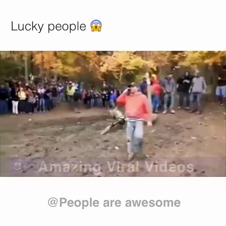 lucky people of all time (demic collection)